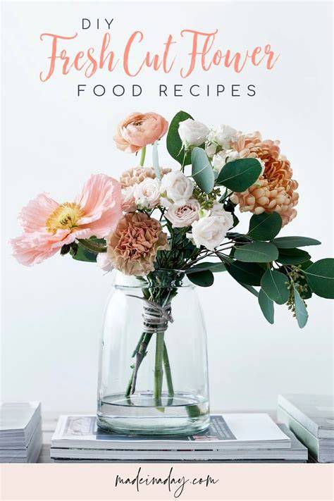 food recipes tips tutorial diy tutorial tutorial guide design