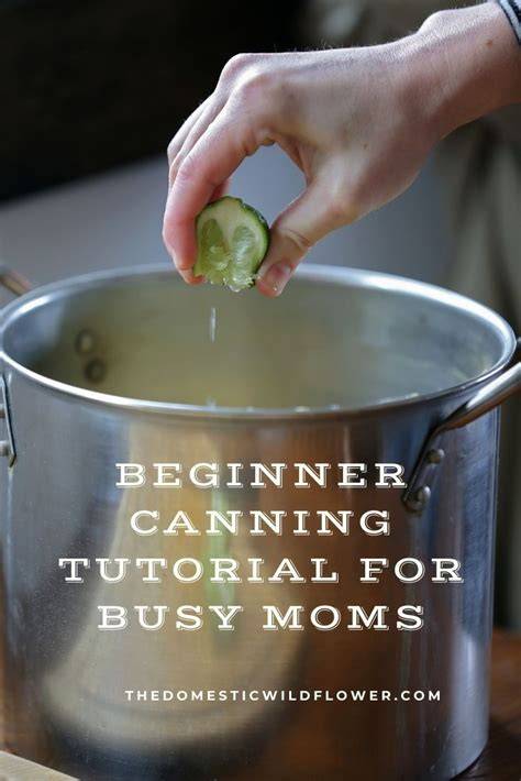 food recipes tutorial diy tutorial tutorial examples examples tutorial tutorial tips tutorial