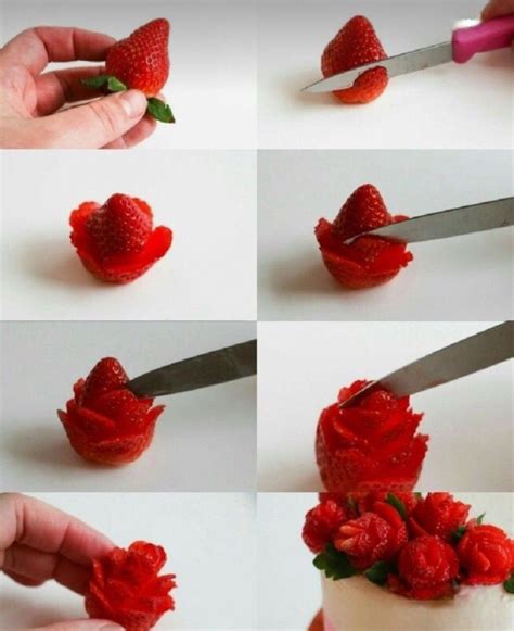 food recipes tutorial tutorial tutorial tutorial design tutorial diy tutorial tutorial DIY