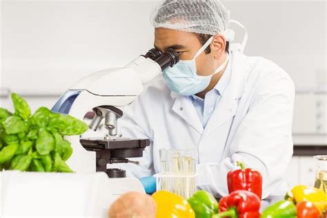 food science and food technology