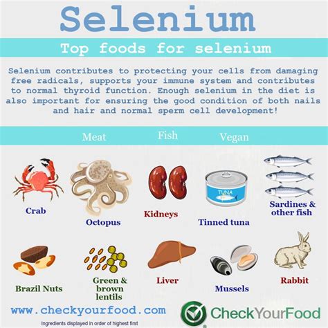 Food Sources Of Selenium Include