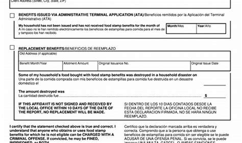 food stamp michigan application