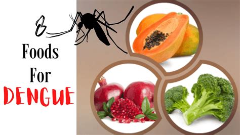 food to eat during dengue