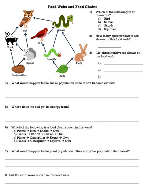 food web and food chain worksheet answers