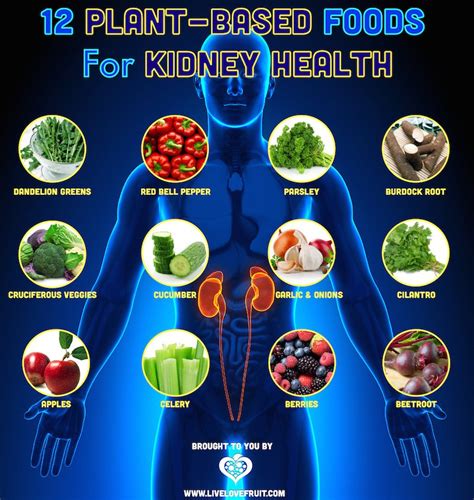 Fruits For Healthy Kidneys Encycloall