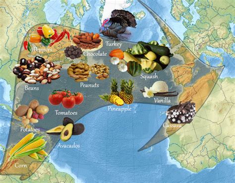 foods from the columbian exchange