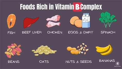 foods have vitamin b
