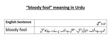 foolish meaning in urdu with example