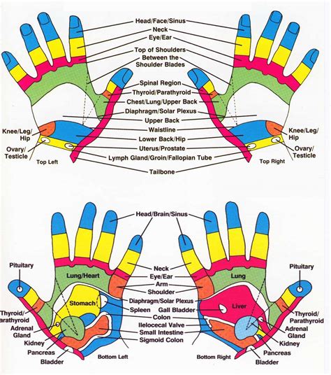 foot and hand reflexology techniques