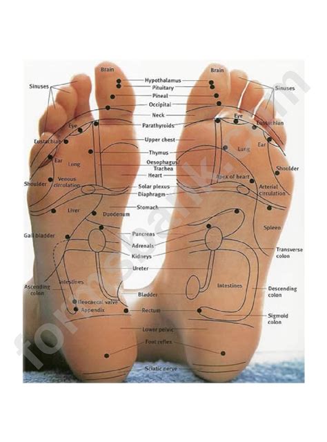 Foot Chart Pdf
