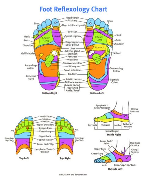 Foot Chart Reflexology Points