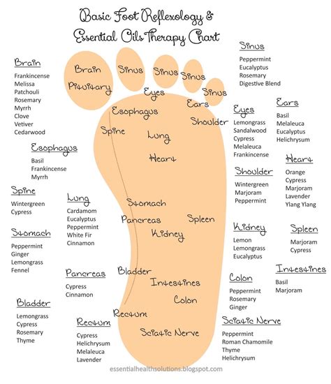 Foot Map For Essential Oils