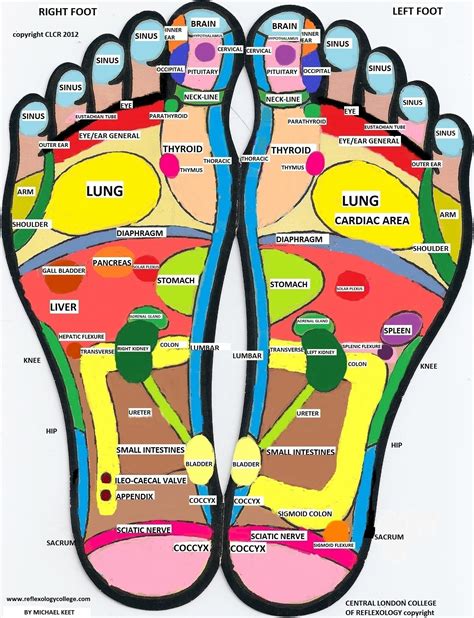 foot map reflexology