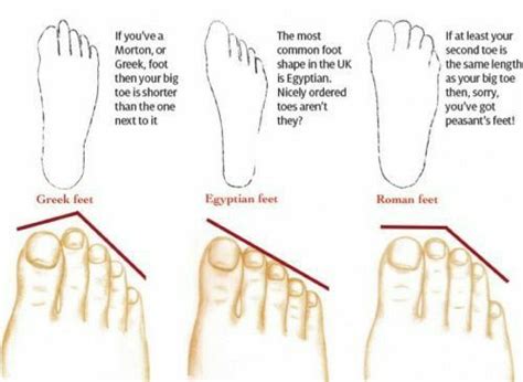 foot meaning in kannada