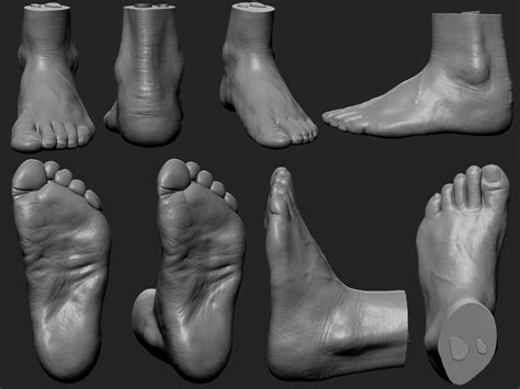 Foot Reference