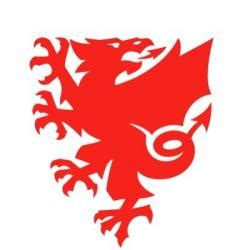 football association wales jobs