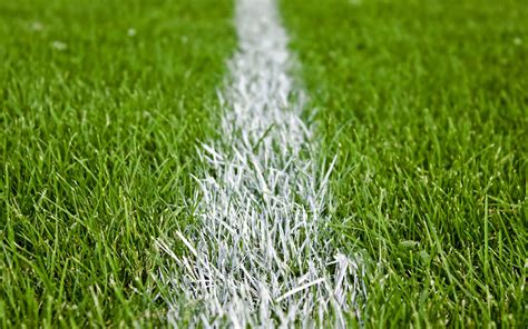 football in grass image