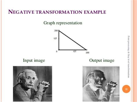 for what type of image negative transformation is useful
