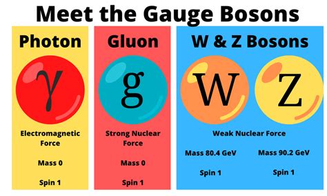 Force Carriers Gauge Bosons