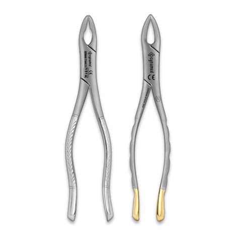 Forceps For Maxillary Anterior