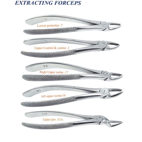 Forceps For Upper Teeth