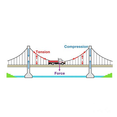 forces in a suspension bridge