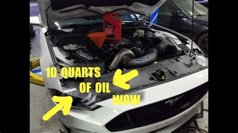 ford mustang gt oil change
