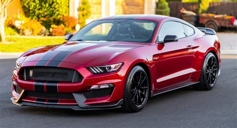 ford mustang gt350 shelby