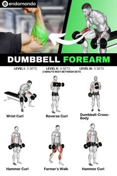 Forearm Dumbbell Exercises and Free Weight Workouts