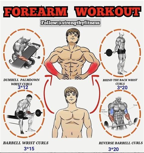 Forearms Workout Names