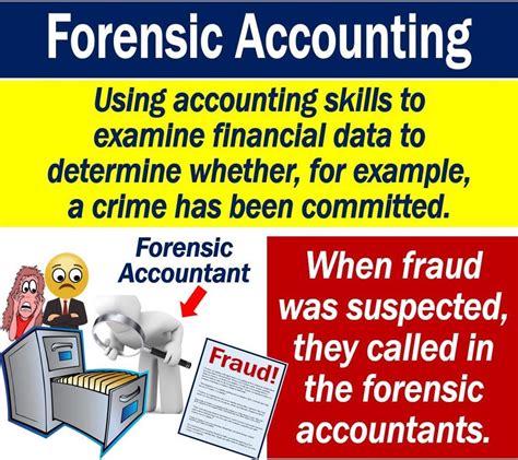 forensic accounting examples