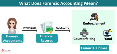 forensic accounting methodology
