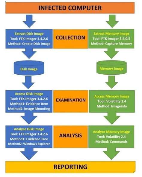 forensic analysis procedure