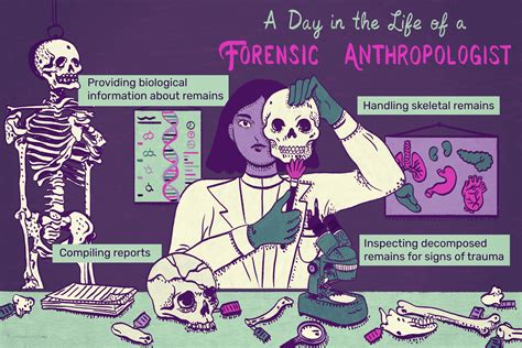 forensic anthropology careers