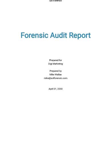 forensic audit example