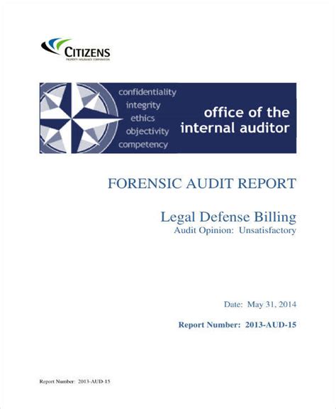 forensic audit example pdf