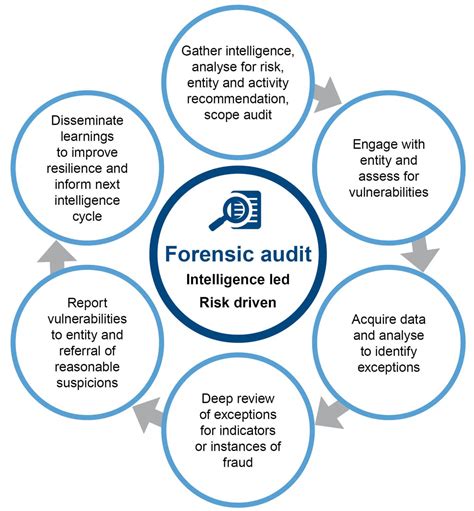 forensic audit methodology