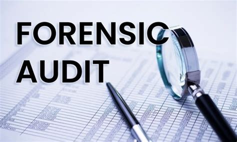 forensic audit process