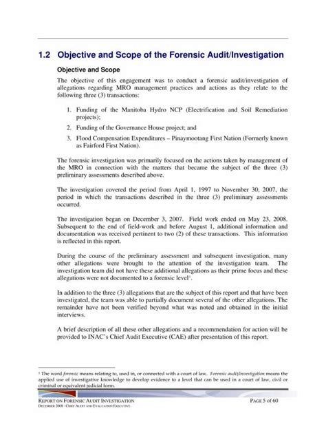 forensic audit report sample