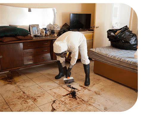 Forensic Cleaning Cost