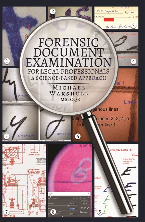 forensic document examination examples