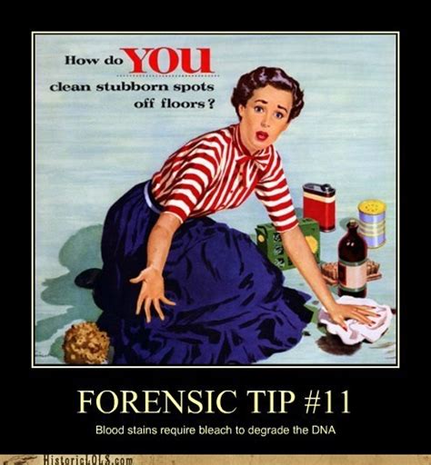 Forensic Funnies