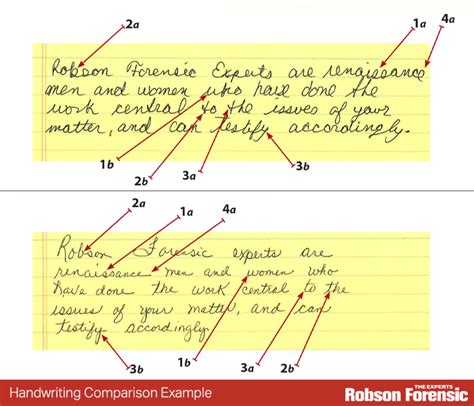 forensic handwriting analysis examples