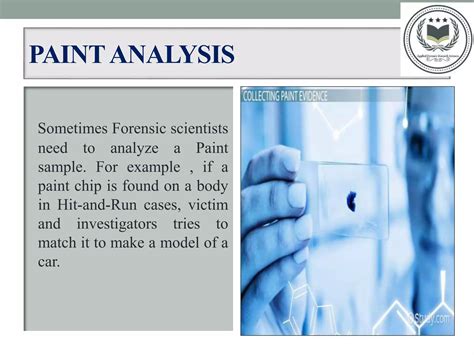 Forensic Paint Analysis Key Terms