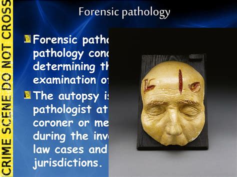 forensic pathologist evidence examples