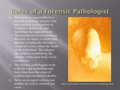 forensic pathology case examples