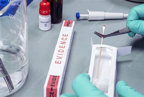 forensic sample analysis
