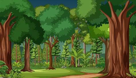 Forest Trees Vector Art, Icons, and Graphics for Free Download