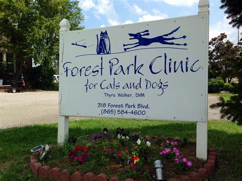 Forest Park Animal Clinic: Caring For Your Furry Friends
