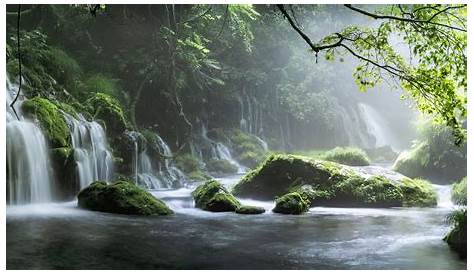 Waterfalls photo, forest, green, waterfall HD wallpaper | Wallpaper Flare